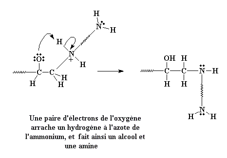 epsyn08f.gif (4889 octets)